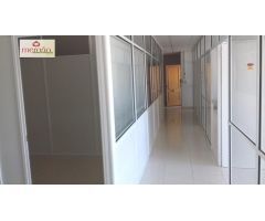 OFICINA ELCHE PARQUE EMPRESARIAL