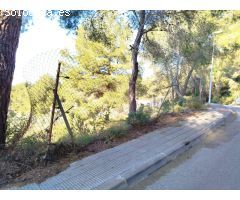 Estupendo terreno en Mas Romeu