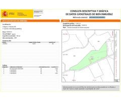 VENTA DE TERRENO EN PECHINA CON NEGOCIO EN FUNCIONAMIENTO