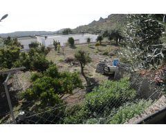 SE VENDE GRAN PARCELA URBANA EN FELIX