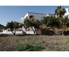 SE VENDE GRAN PARCELA URBANA EN FELIX