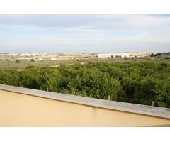 Finca rustica en Venta en Algorfa, Alicante