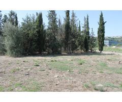 Terreno Industrial en Olesa de Montserrat en Venta o Alquiler