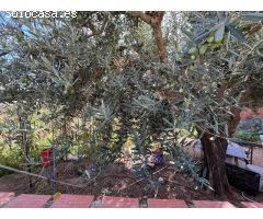 TERRENO URBANO A LA VENTA EN ESPARREGUERA (BARCELONA) ZONA LA PLANA