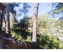 PARCELA  A LA VENTA EN CASTELLET I LA GORNAL, BARCELONA