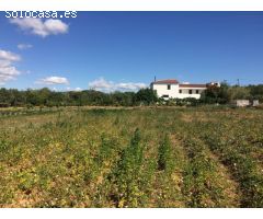 MASIA DEL 1960 CON 39000M2 DE TERRENO AGRICOLA AL LADO DEL MAR DE SANT SALVADOR