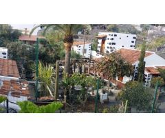 Casa canaria con terreno en municipio de Guia de Isora, medianías, cerca autopista.