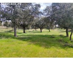 Finca rustica en Venta en Maello, Ávila