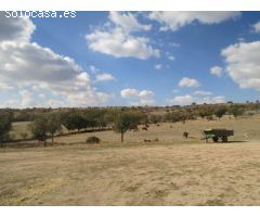 Finca rustica en Venta en Espinar, El, Segovia