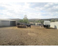 Finca rustica en Venta en Espinar, El, Segovia