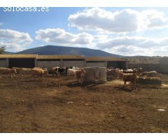 Finca rustica en Venta en Espinar, El, Segovia