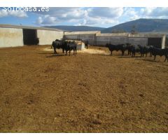 Finca rustica en Venta en Espinar, El, Segovia