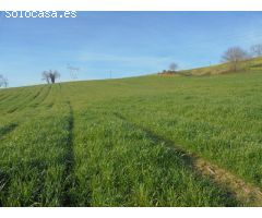 Terreno Rustico en Penagos