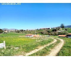 Terreno urbanizable en Penagos.