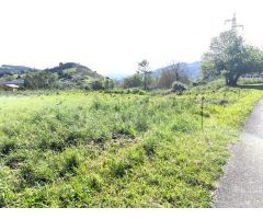 Parcela edificable con proyecto aprobado