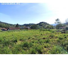 Parcela edificable con proyecto aprobado