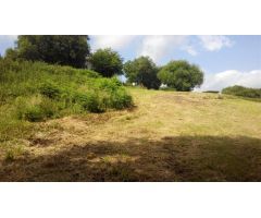 PARCELA DE TERRENO CON PROYECTO