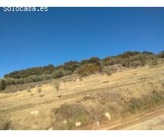 finca con casa en alfarnate