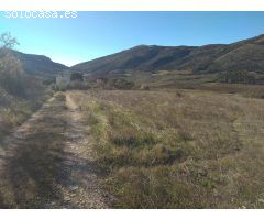 finca con casa en alfarnate