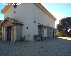 finca con casa en alfarnate