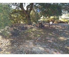 finca con casa en alfarnate