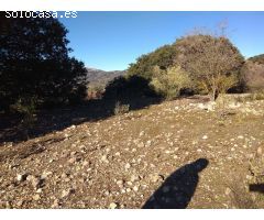 finca con casa en alfarnate