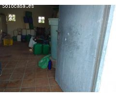 Finca de aguacates y mangos con casa