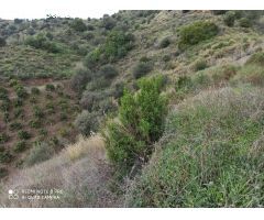 Finca rustica en Venta en Benamocarra, Málaga