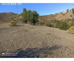 pacela en almachar con pozo de agua