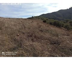 Parcela en almachar