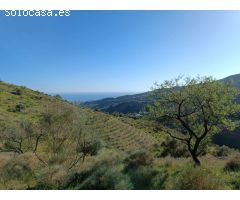 Parcela en el valdes