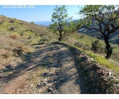 Parcela en el valdes