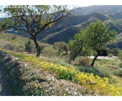 Parcela en el valdes