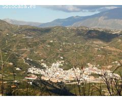 parcela en benamargasa puesto de viñas