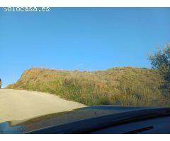 parcela en benamargasa puesto de viñas