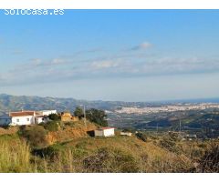 Parcela en almachar puesto de olivos