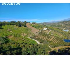parcela en iznate con arboles