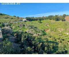 parcela en iznate con arboles
