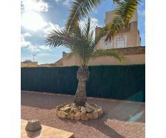 Hermosa villa de 3 dormitorios, 1 baño, 1 terraza y 1 solárium con un jardín de + 400m2