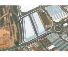 Solar urbano en Alquiler en Santes Creus, Tarragona