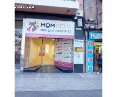 Local comercial en Alquiler en Santes Creus, Tarragona