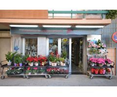 Local comercial en Venta en Peníscola/Peñíscola, Castellón