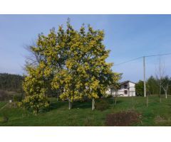 Casa y cuadras para restaurar en Finca de 114.919 m2