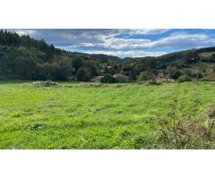 SE VENDE SUELO URBANIZABLE EN OREÑA, ALFOZ DE LLOREDO