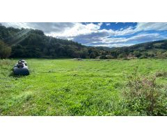 SE VENDE SUELO URBANIZABLE EN OREÑA, ALFOZ DE LLOREDO