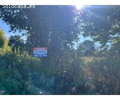 FINCA RESIDENCIAL CON PARTE RÚSTICA EN VILLAESCUSA, CANTABRIA (LIAÑO)