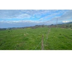SE VENDE TERRENO URBANIZABLE EN RIBADEDEVA