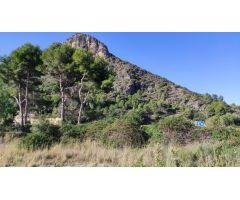 Hermoso Terreno de 40.000m2 en Adsubia (Pego) con posibilidad de construcción de hasta 200m2