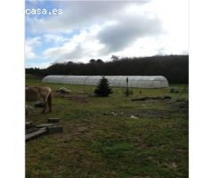 Parcela en Venta en Trazo, La Coruña