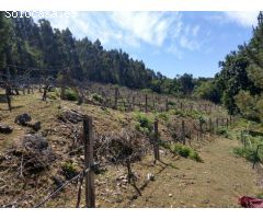 Parcela en Venta en Vedra, La Coruña